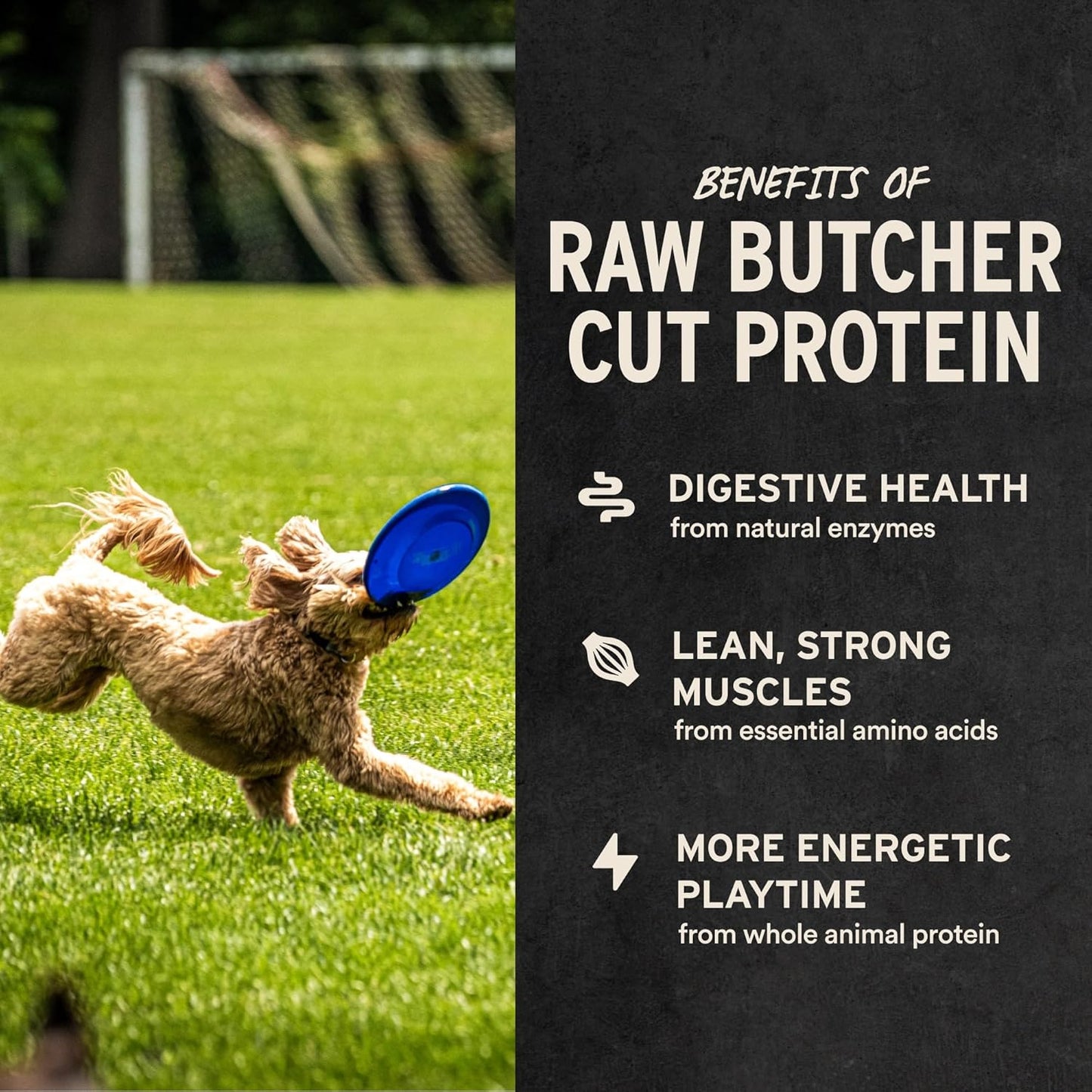 Freeze Dried Dog Treats | Chicken Breast, Single Ingredient | Premium Quality | Grain Free Training Treats for Dogs, 2.1 Oz Bag