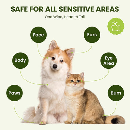 Hypoallergenic Pet Wipes for Dogs, Cats & Small Animals – Quick Clean & Deodorize Paws, Butt, Eyes, Face & Fur | Daily Grooming Wipes | Extra Large & Thick | Coconut Scented, 400 Count