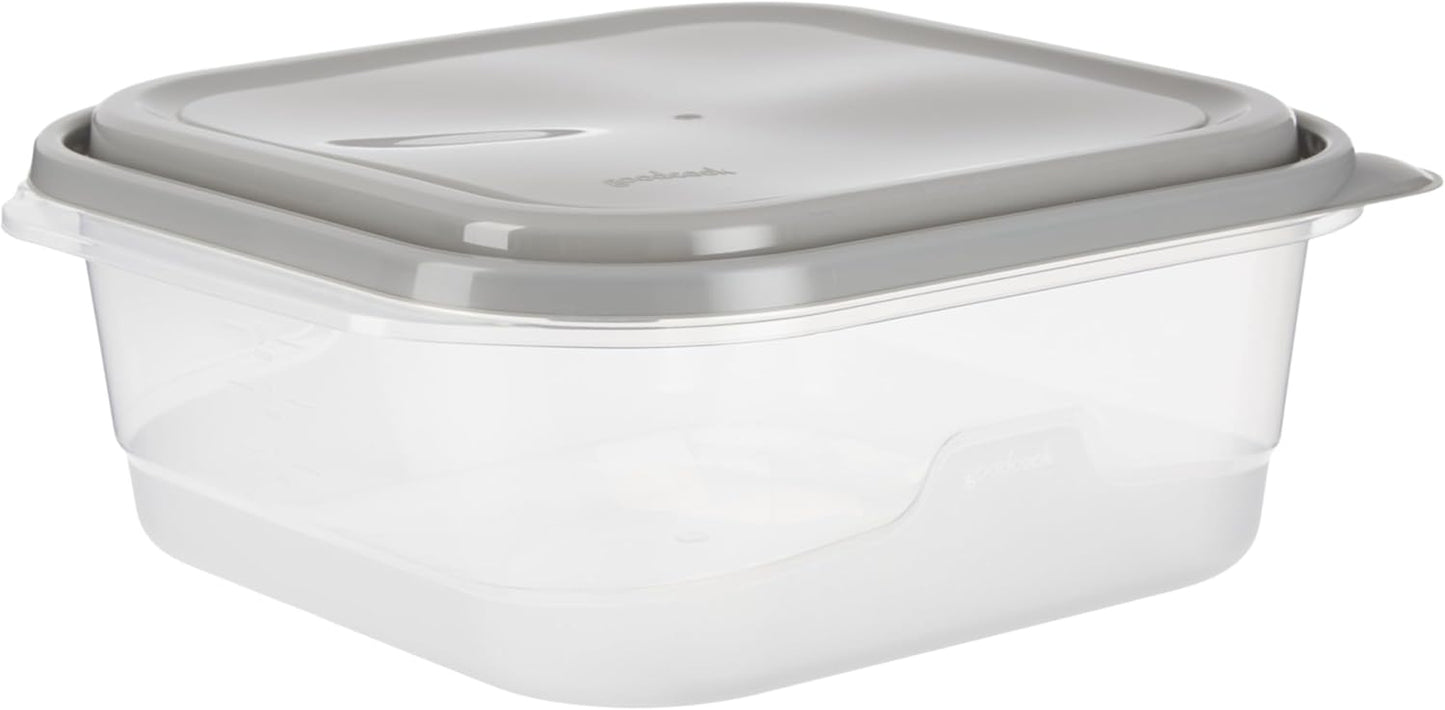 Everyware Extra Large Square Food Storage Container, 2 Pack, BPA Free