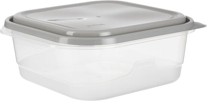 Everyware Extra Large Square Food Storage Container, 2 Pack, BPA Free