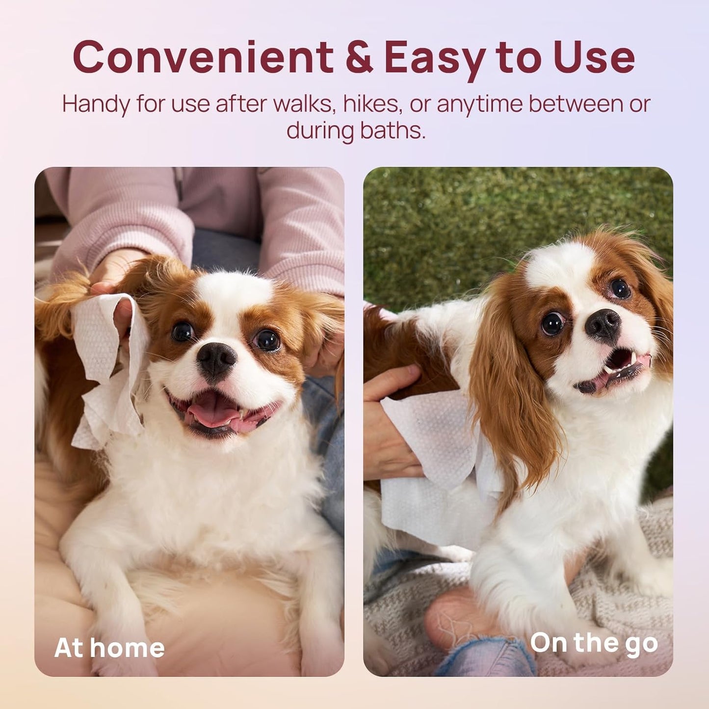 Wipes for Dogs and Cats, Vet-Recommended Hypoallergenic Dog Wipes for Paws, Butt and Fur, Dog Cleaning Wipes & Dog Bath Wipes, Deodorizing Grooming Wipes for Dogs, Cats, Horse, 100 Count | Pet Wipes for Paws & Butt, Dog Bath Wipes, Deodorizing Cleaning Wipes, Cat Grooming Wipes, Puppy & Kitten Friendly