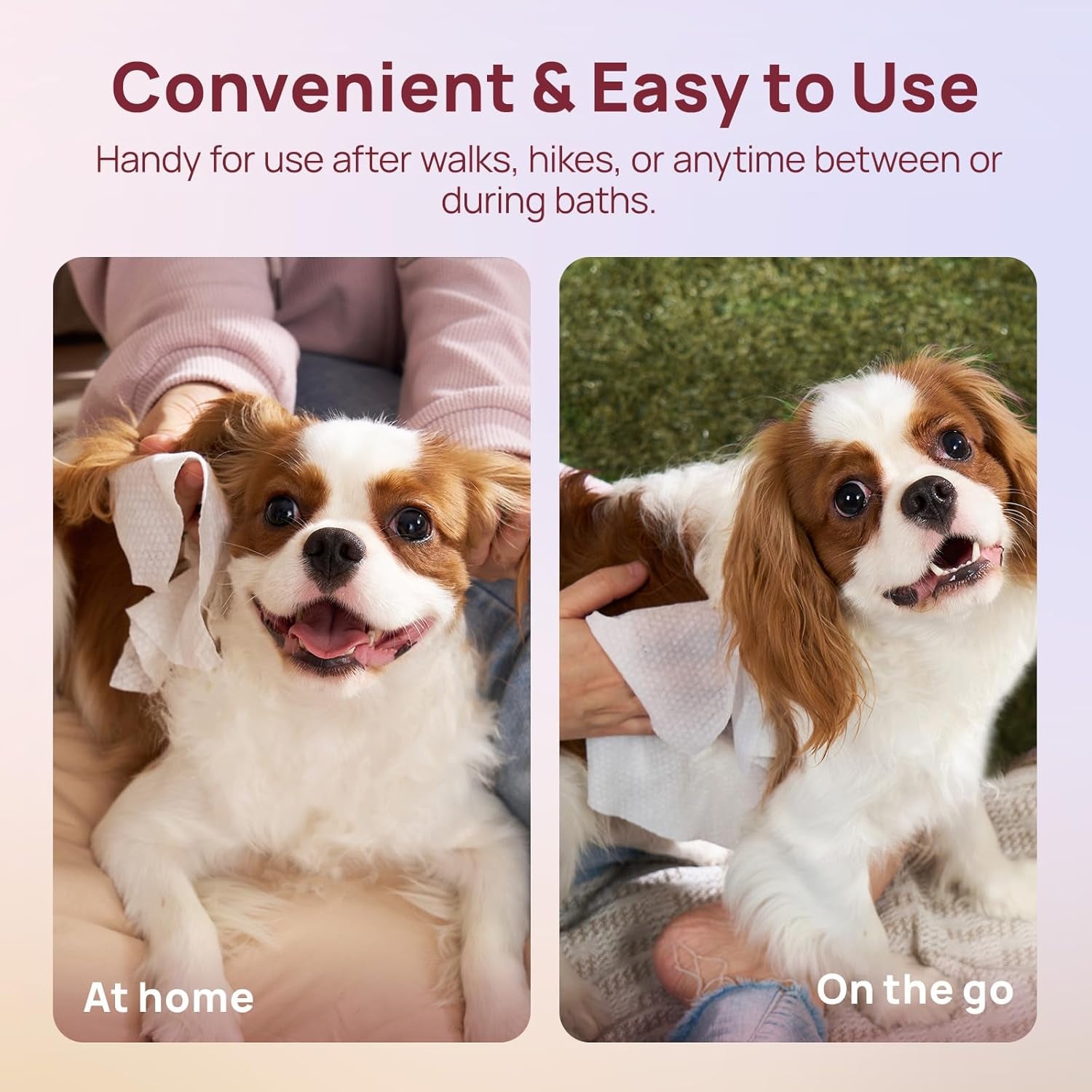 Wipes for Dogs and Cats, Vet-Recommended Hypoallergenic Dog Wipes for Paws, Butt and Fur, Dog Cleaning Wipes & Dog Bath Wipes, Deodorizing Grooming Wipes for Dogs, Cats, Horse, 100 Count | Pet Wipes for Paws & Butt, Dog Bath Wipes, Deodorizing Cleaning Wipes, Cat Grooming Wipes, Puppy & Kitten Friendly