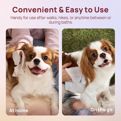 Wipes for Dogs and Cats, Vet-Recommended Hypoallergenic Dog Wipes for Paws, Butt and Fur, Dog Cleaning Wipes & Dog Bath Wipes, Deodorizing Grooming Wipes for Dogs, Cats, Horse, 100 Count | Pet Wipes for Paws & Butt, Dog Bath Wipes, Deodorizing Cleaning Wipes, Cat Grooming Wipes, Puppy & Kitten Friendly