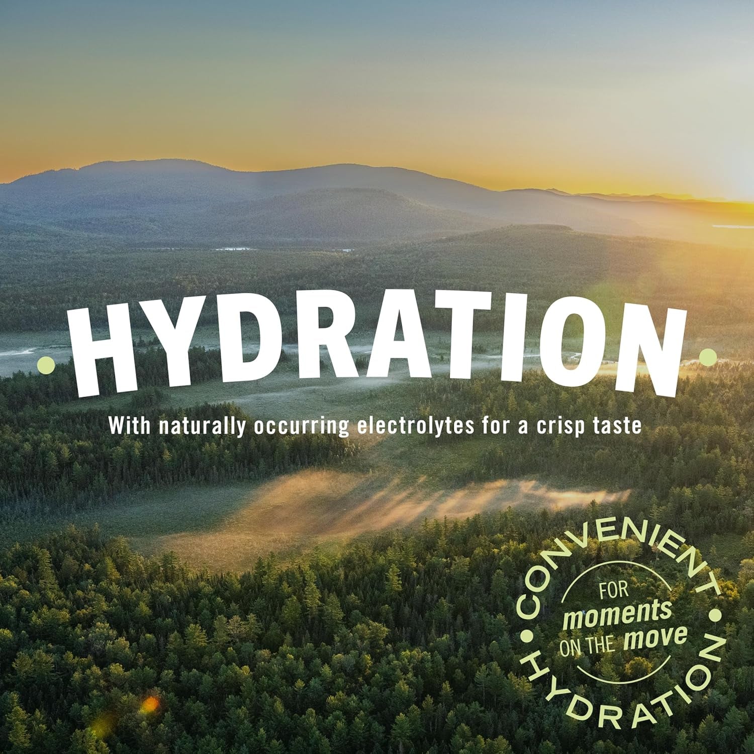Brand 100% Natural Spring Water, Plastic Bottles,16.9 Fl Oz (Pack of 12)