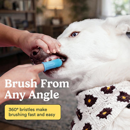 Dog Toothbrush, 360 Dog Tooth Brushing Kit, Finger Toothbrush, Cat Tooth Brush, Teeth Cleaning, Pet Tooth Brush for Small & Large Pets, Pet Toothpaste Not Included, 2-Pack Blue