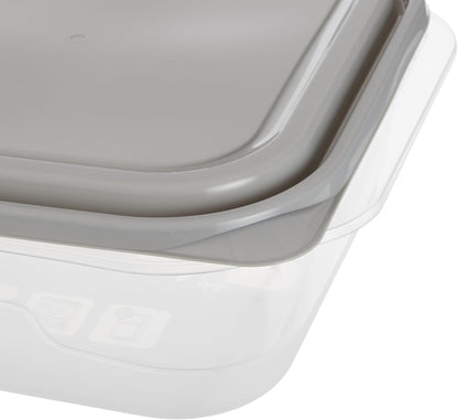 Everyware Extra Large Square Food Storage Container, 2 Pack, BPA Free