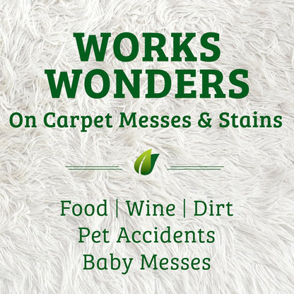 Bac-Out Enzyme Cleaner and Stain & Odor Remover for Pet Stains, Laundry, Diapers, Wine, Carpets, & More, Eco-Friendly, Non-Toxic, Lime Scent, 128 Ounces