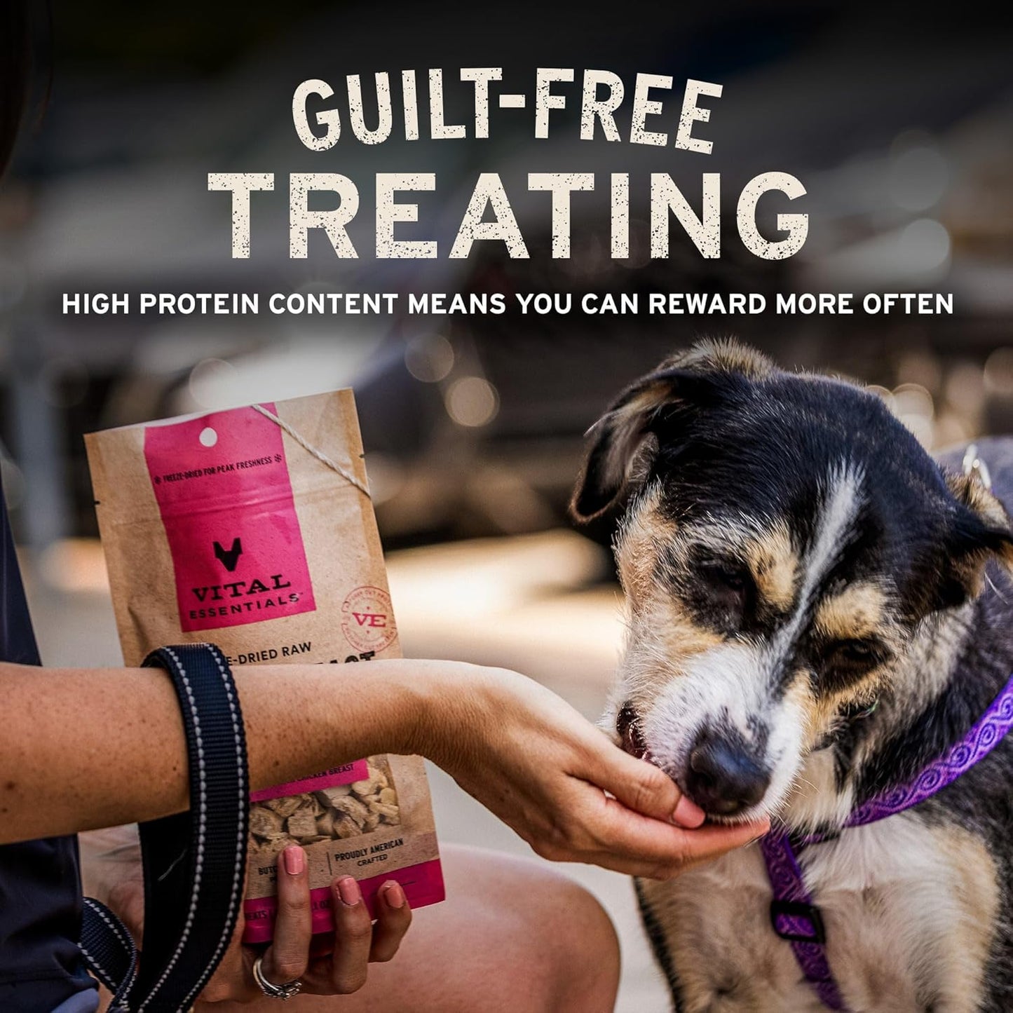 Freeze Dried Dog Treats | Chicken Breast, Single Ingredient | Premium Quality | Grain Free Training Treats for Dogs, 2.1 Oz Bag