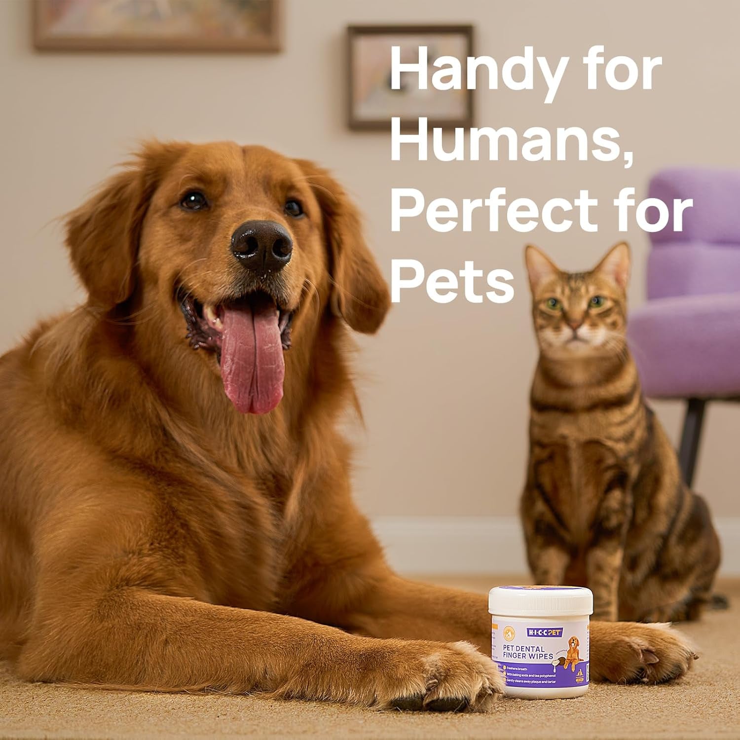 Teeth Cleaning Wipes for Dogs & Cats, Vet-Recommended Remove Bad Breath, Plaque, Tartar Buildup Dog Finger Toothbrush Wipes, Dog Tooth Brushing Kit, Pet Toothpaste & Toothbrush Alternatives