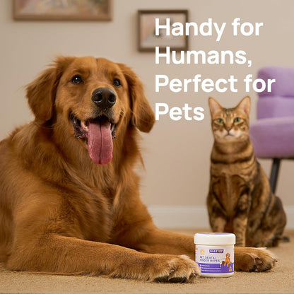 Teeth Cleaning Wipes for Dogs & Cats, Vet-Recommended Remove Bad Breath, Plaque, Tartar Buildup Dog Finger Toothbrush Wipes, Dog Tooth Brushing Kit, Pet Toothpaste & Toothbrush Alternatives