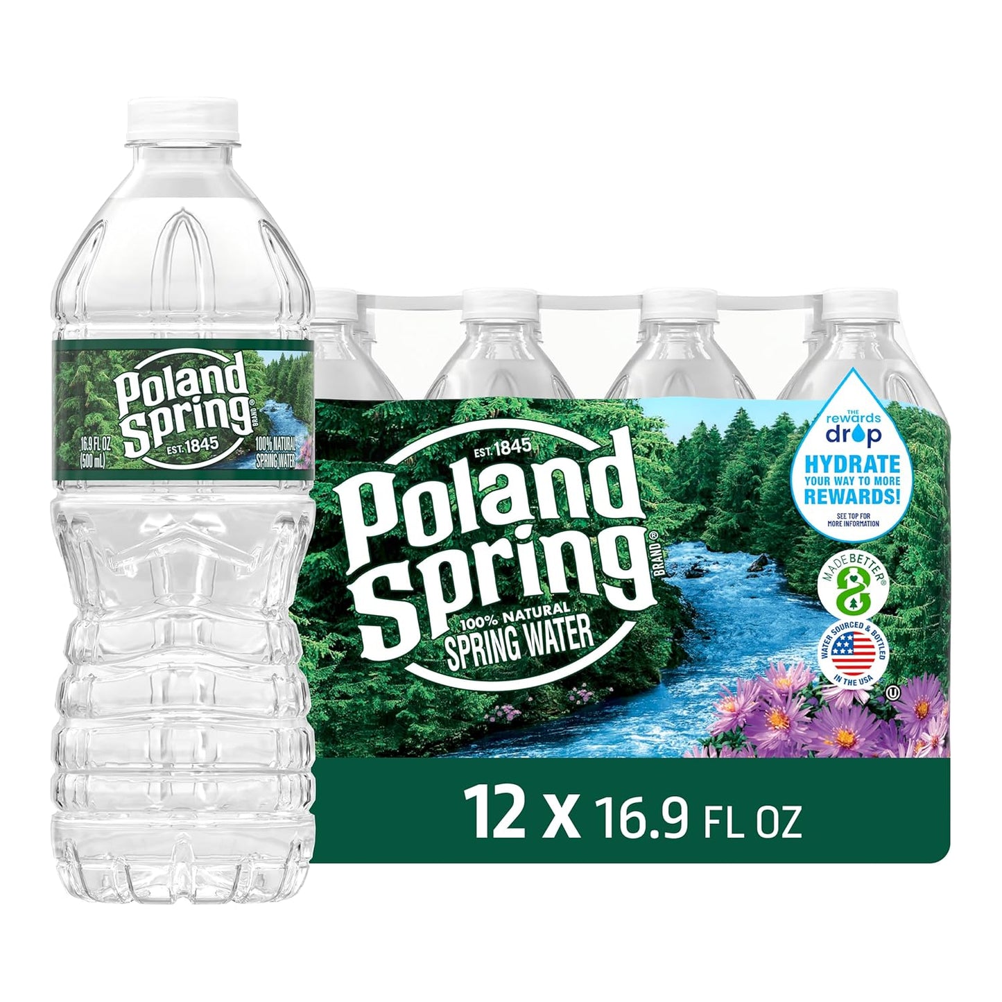 Brand 100% Natural Spring Water, Plastic Bottles,16.9 Fl Oz (Pack of 12)