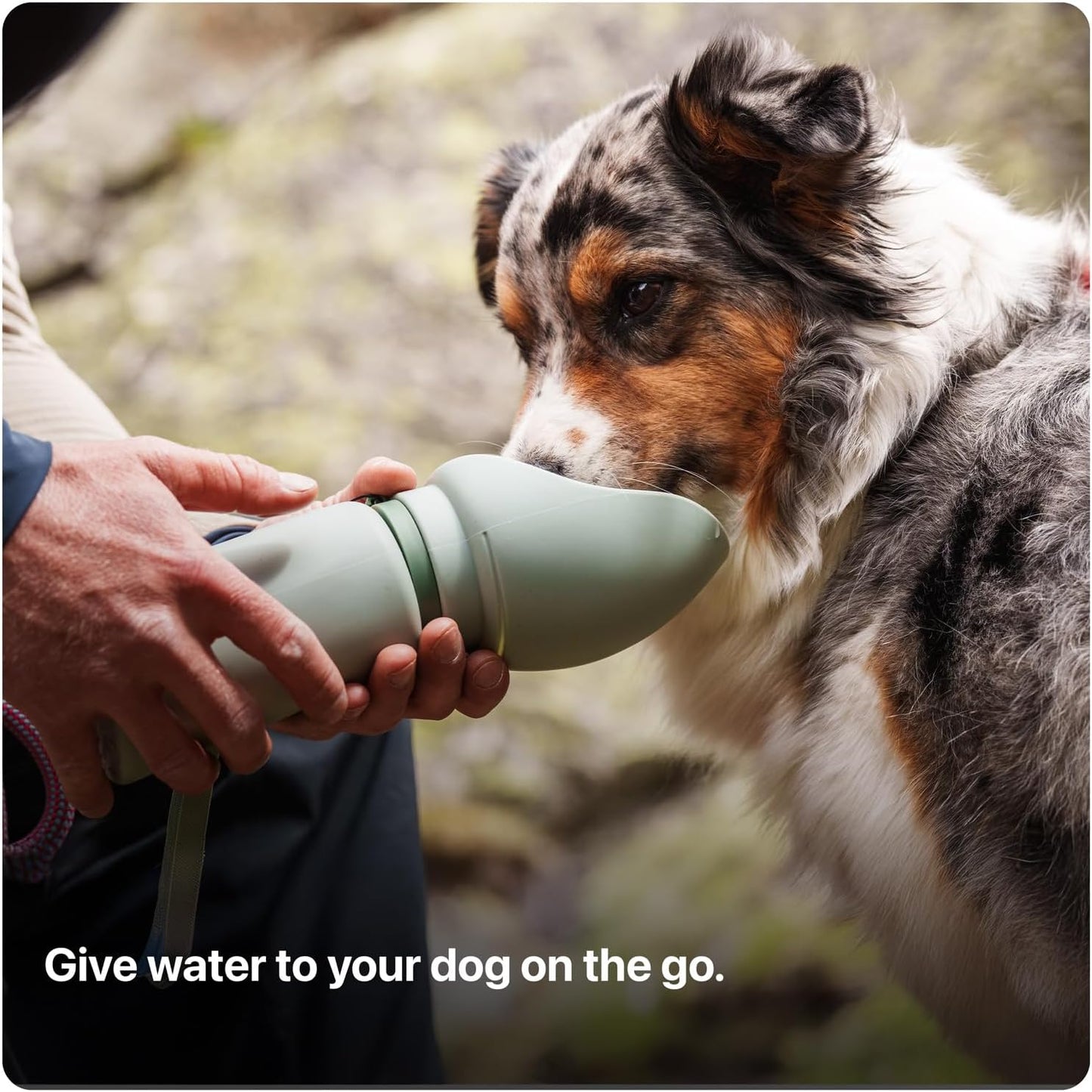 Portable Dog Water Bottle, Collapsible Water Bottle for Dogs Perfect for Walking, Hiking and Outdoors | Works as a Portable Water Bowl | Designed in Montreal - 750Ml