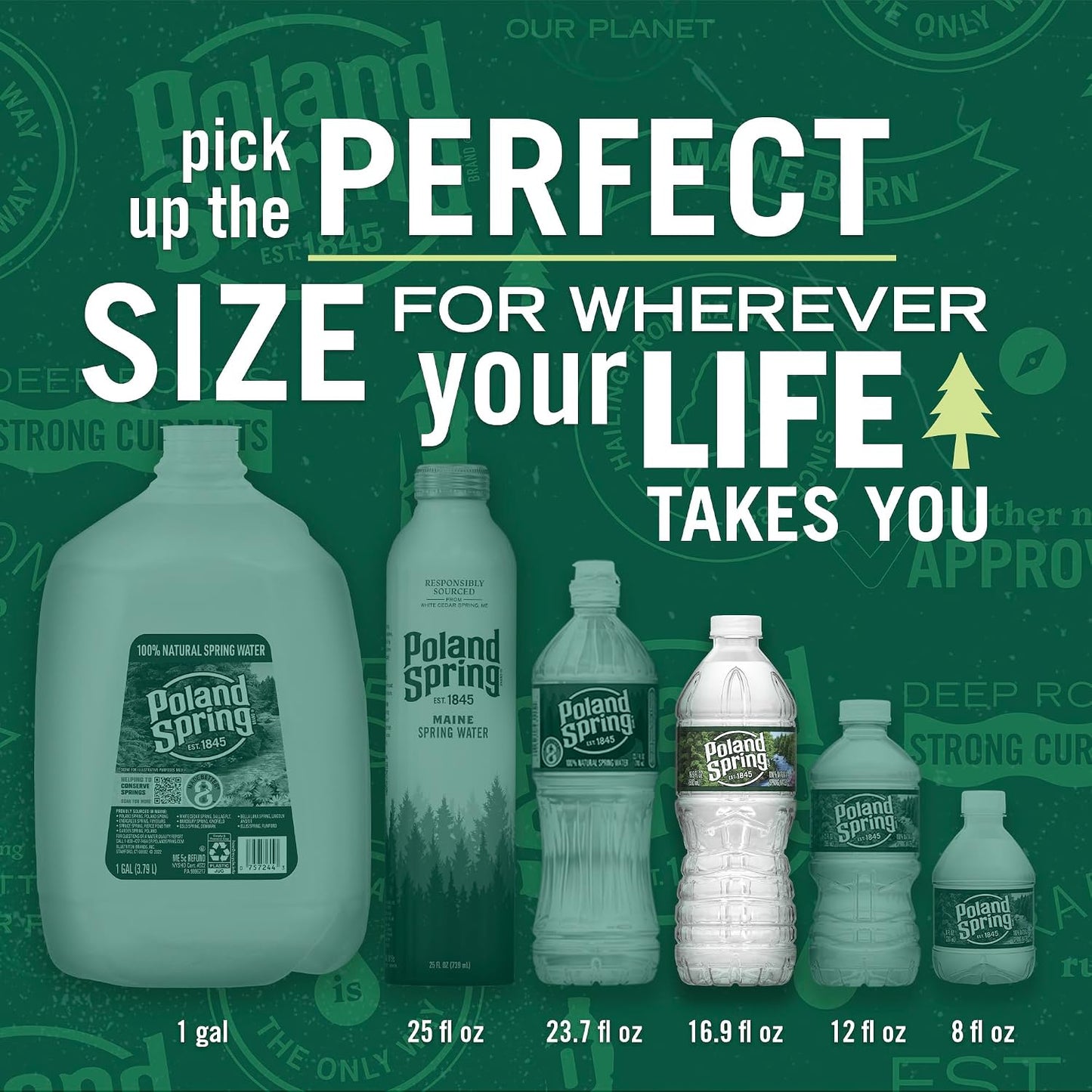 Brand 100% Natural Spring Water, Plastic Bottles,16.9 Fl Oz (Pack of 12)