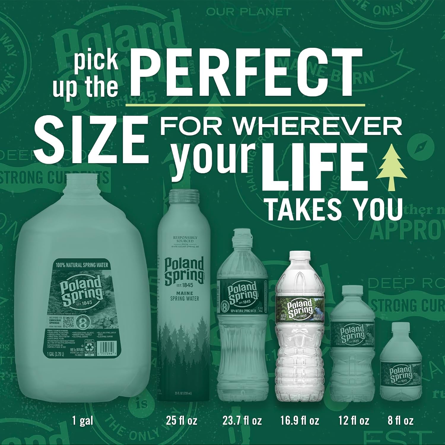 Brand 100% Natural Spring Water, Plastic Bottles,16.9 Fl Oz (Pack of 12)