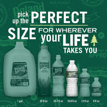 Brand 100% Natural Spring Water, Plastic Bottles,16.9 Fl Oz (Pack of 12)