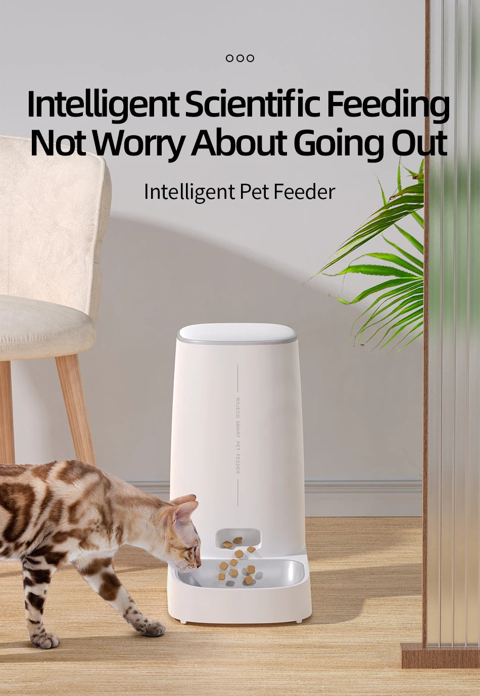 Smart WiFi Automatic Pet Feeder to Schedule and Control Your Pets Meals Remotely