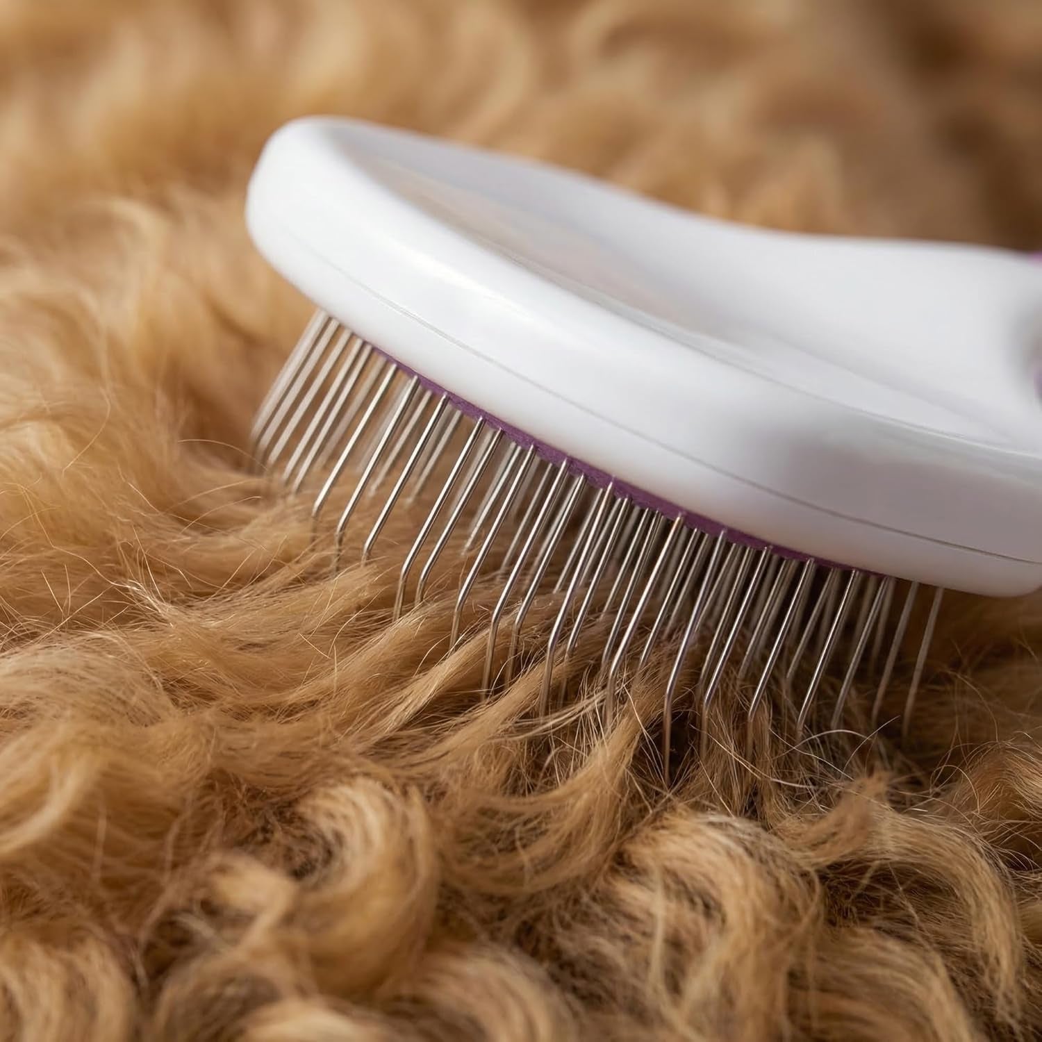 Poodle Pet Slicker Brush - for Dogs, Cats, Rabbits - Matted/Loose Fur, Knots - Suitable for Doodle/Goldendoodle Grooming and Shredding Short/Long Hair