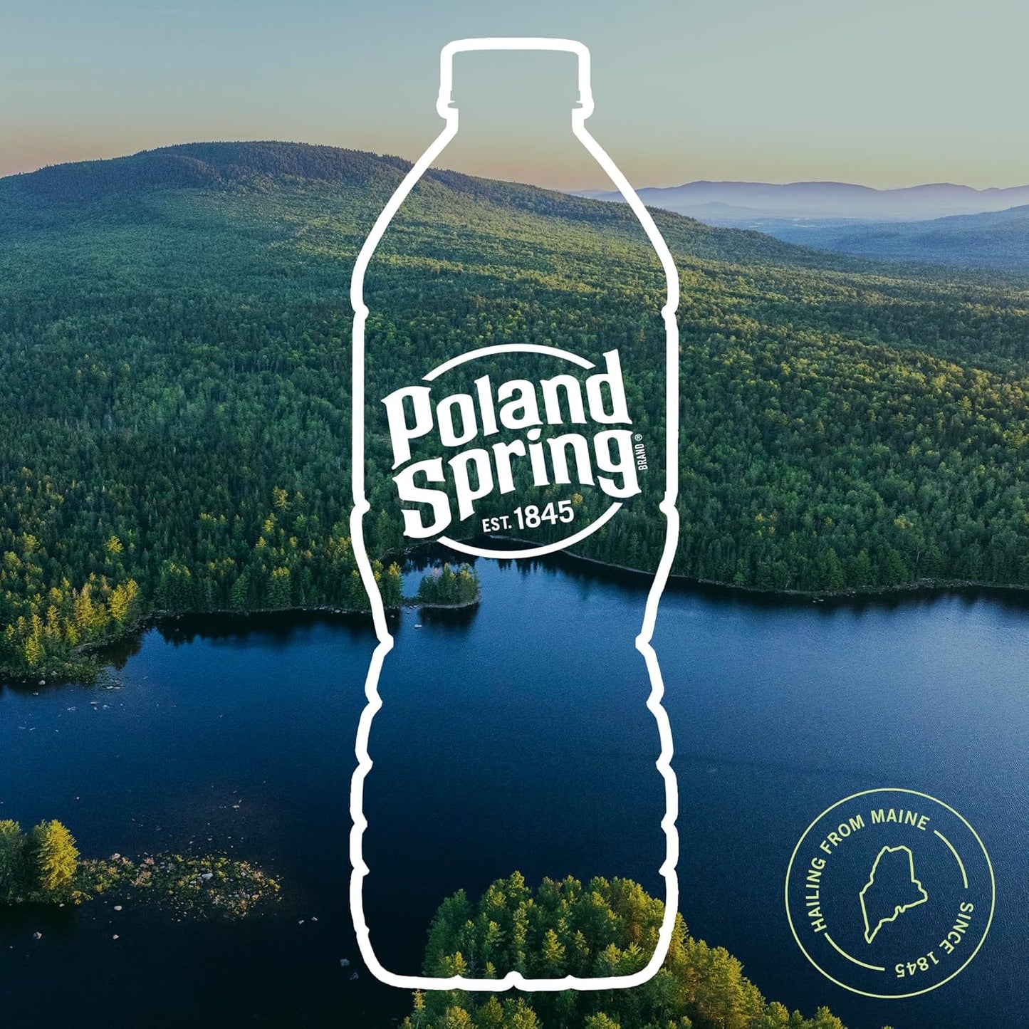 Brand 100% Natural Spring Water, Plastic Bottles,16.9 Fl Oz (Pack of 12)