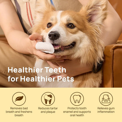 Teeth Cleaning Wipes for Dogs & Cats, Vet-Recommended Remove Bad Breath, Plaque, Tartar Buildup Dog Finger Toothbrush Wipes, Dog Tooth Brushing Kit, Pet Toothpaste & Toothbrush Alternatives
