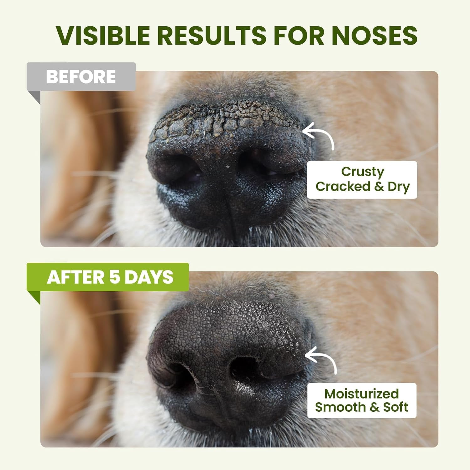 Lick-Safe Dog Paw & Nose Balm with Coconut Oil | All-Natural Moisturizer & Soother for Dry, Cracked Pads & Snout | Heat & Cold Pavement Protection Wax | Horse Hoof, Joint Care (1.3 Oz