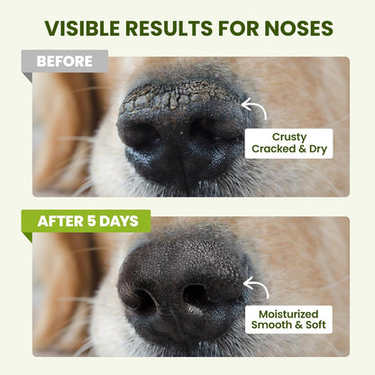Lick-Safe Dog Paw & Nose Balm with Coconut Oil | All-Natural Moisturizer & Soother for Dry, Cracked Pads & Snout | Heat & Cold Pavement Protection Wax | Horse Hoof, Joint Care (1.3 Oz