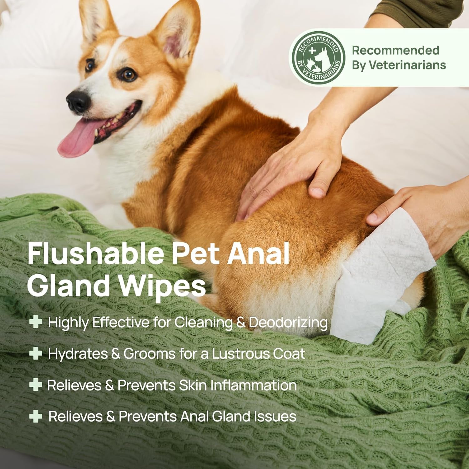 Wipes for Dogs & Cats, Vet Recommended Cleaning Deodorizing & Soothing Allergy Infections Anal Gland Wipes, Hydrating & Nourish Fur Dog Grooming Wipes for Paw, Butt, Body-Hypoallergenic