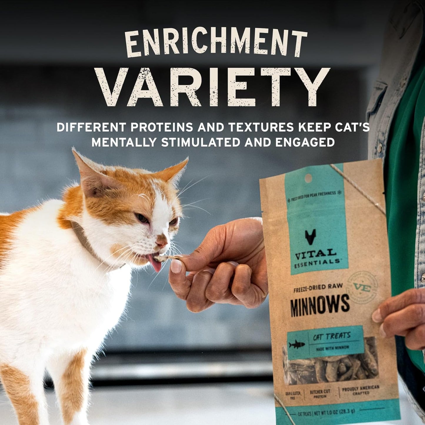 Freeze Dried Minnows Cat Treats | Single Ingredient | Premium Quality | Grain Free, Healthy Treats for Cats, 1 Oz Bag