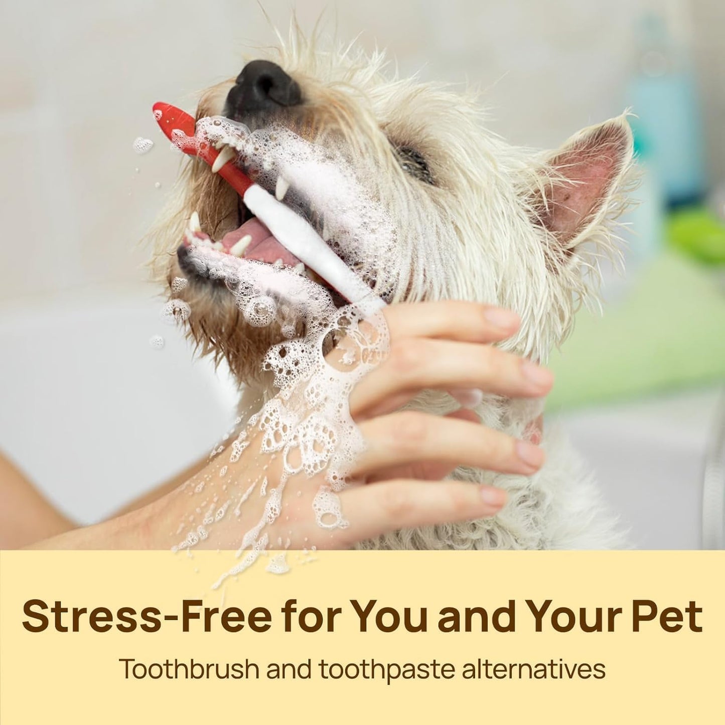 Teeth Cleaning Wipes for Dogs & Cats, Vet-Recommended Remove Bad Breath, Plaque, Tartar Buildup Dog Finger Toothbrush Wipes, Dog Tooth Brushing Kit, Pet Toothpaste & Toothbrush Alternatives