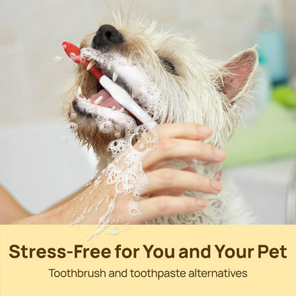 Teeth Cleaning Wipes for Dogs & Cats, Vet-Recommended Remove Bad Breath, Plaque, Tartar Buildup Dog Finger Toothbrush Wipes, Dog Tooth Brushing Kit, Pet Toothpaste & Toothbrush Alternatives