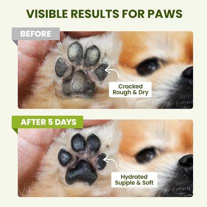 Lick-Safe Dog Paw & Nose Balm with Coconut Oil | All-Natural Moisturizer & Soother for Dry, Cracked Pads & Snout | Heat & Cold Pavement Protection Wax | Horse Hoof, Joint Care (1.3 Oz