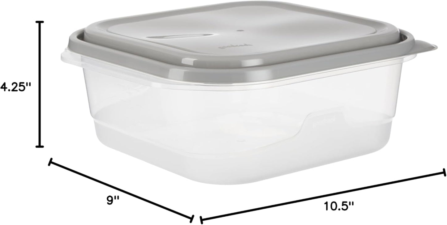 Everyware Extra Large Square Food Storage Container, 2 Pack, BPA Free