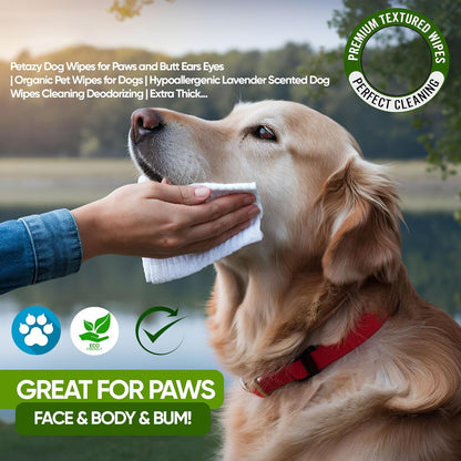 Pet Wipes for Dogs and Cats – 400 Count (8X8In) Hypoallergenic, Deodorizing Dog Wipes for Paws, Ears and Butt | XL with Aloe & Coconut Oil, Lavender Scented | Includes 4 Grooming Glove Wipes