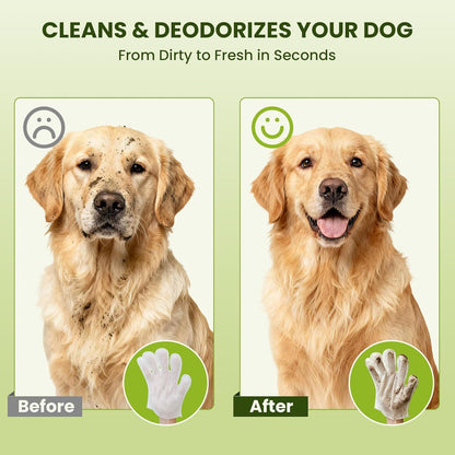 36PCS Hypoallergenic Pet Glove Wipes for Dogs, Cats & Small Animals | No-Rinse Deodorizing Dog Wipes for Paws, Butt, Eyes & Ears | Pet Wipes for Stain & Odor Cleanup between Baths & Travel
