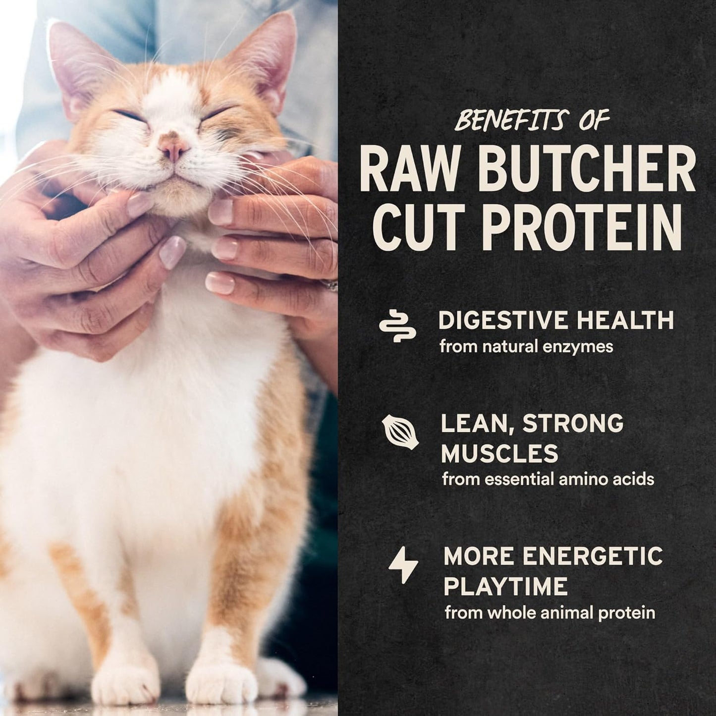Freeze Dried Minnows Cat Treats | Single Ingredient | Premium Quality | Grain Free, Healthy Treats for Cats, 1 Oz Bag