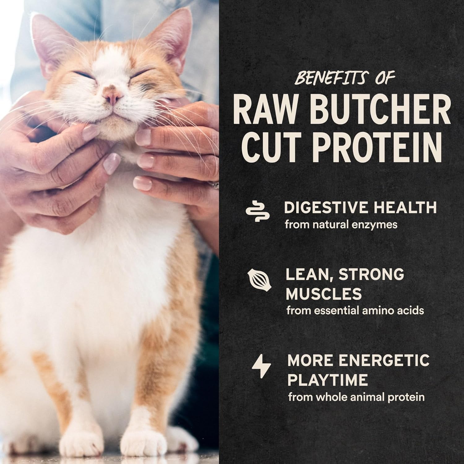 Freeze Dried Minnows Cat Treats | Single Ingredient | Premium Quality | Grain Free, Healthy Treats for Cats, 1 Oz Bag