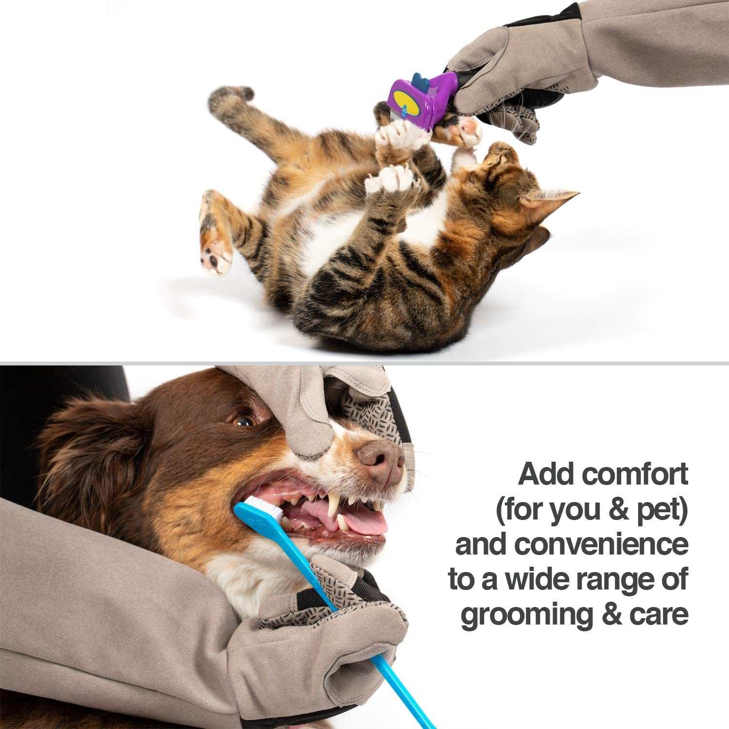 Multipurpose Pet Glove for Grooming, Trips to Vet, Handling. [Puncture & Scratch Resistant, Water Resistant]. 12 Month Warranty for Manufacturer Defects Grey